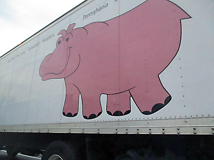 Pink Hippopotamus Logo on Party Rental Ltd Truck Trailer rolling down the Baltimore Beltway