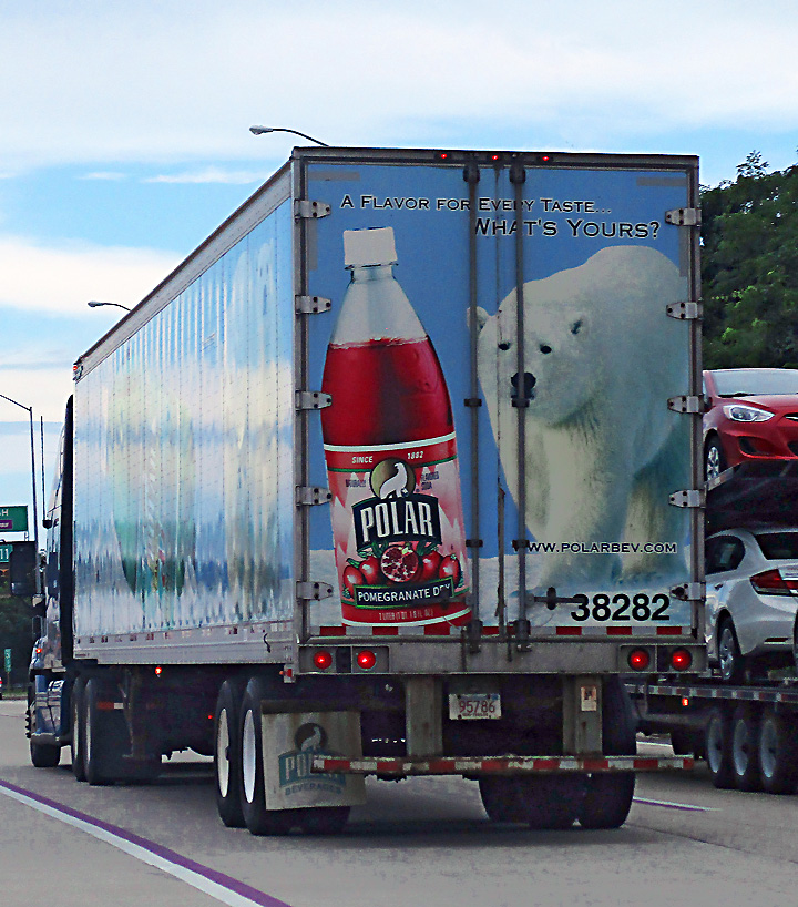 Polar Bear on truck at Bay Bridge toll plaza