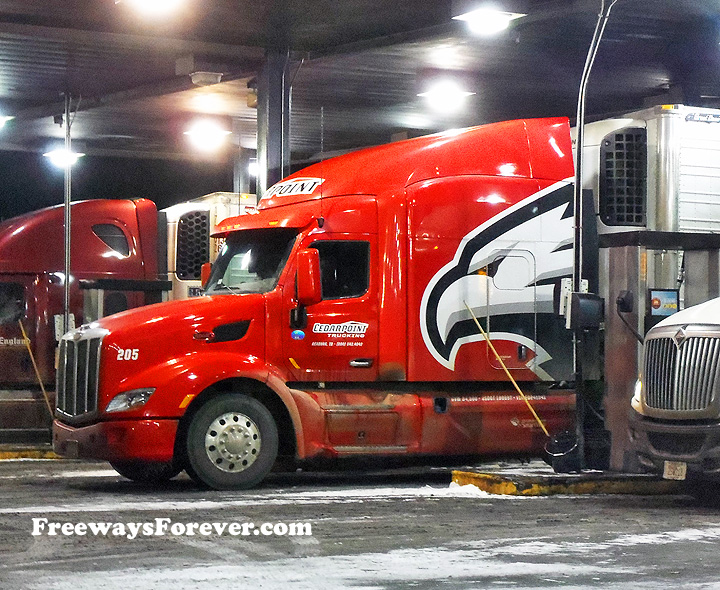 Night view of Cedarpoint Trucking eagle painted on truck at truckstop