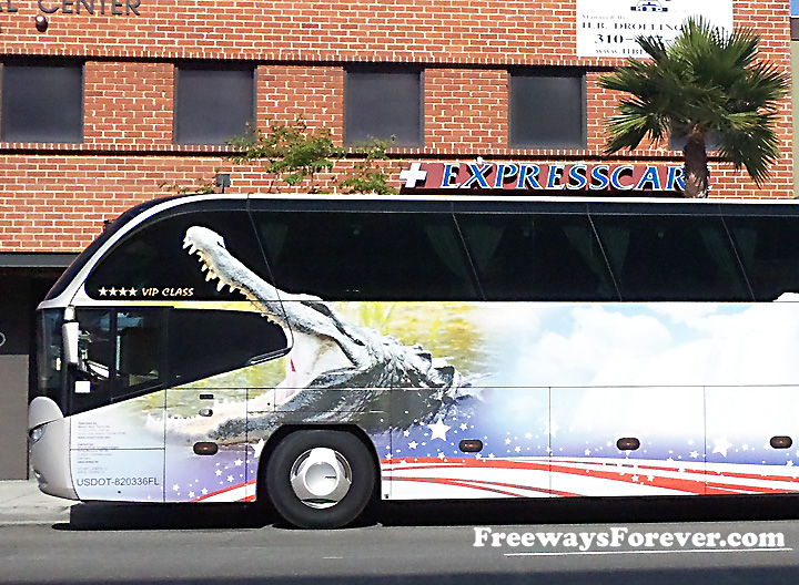 Tour bus with alligator painted on it